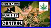 Controlling Your Humidity And Temperature For Indoor Cannabis